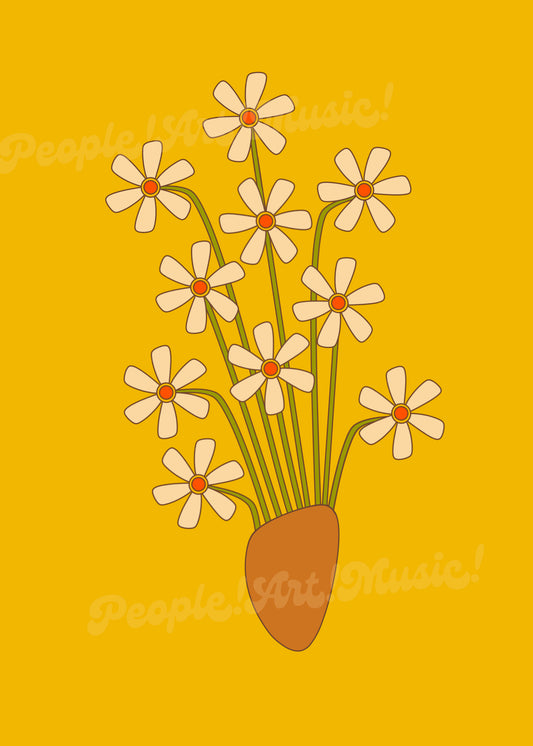 California Daisies